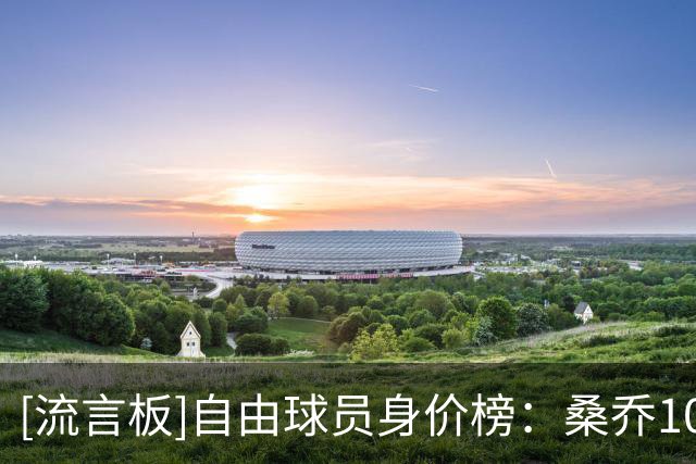 [流言板]自由球员身价榜：桑乔1000万居首，津琴科600万排第二
